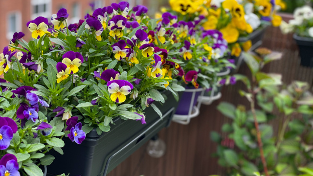 Držáky a háky na truhlíky