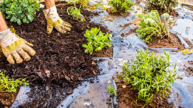 Fólie, textilie a plachty