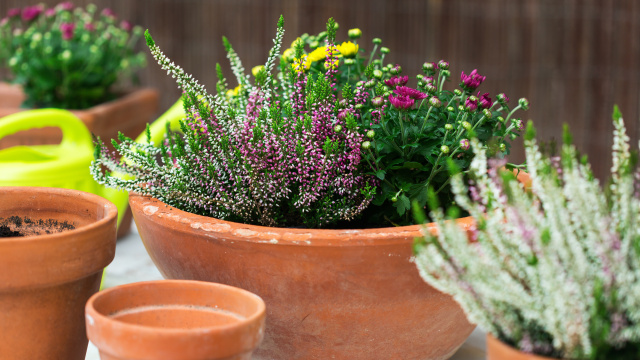 Keramické květináče