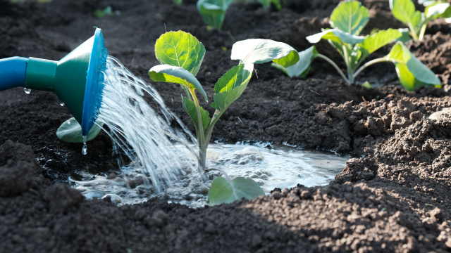 Krystalická hnojiva