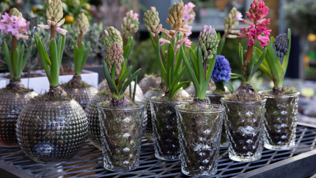 Obaly z ostatních materiálů