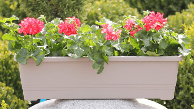 Plastové samozavlažovací truhlíky