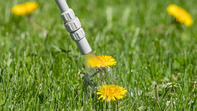 Přípravky proti plevelům