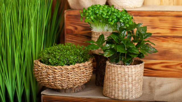 Proutěné a dřevěné obaly