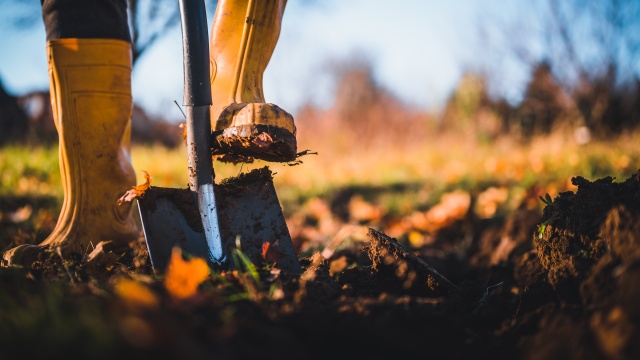 Rýče, lopaty, vidle