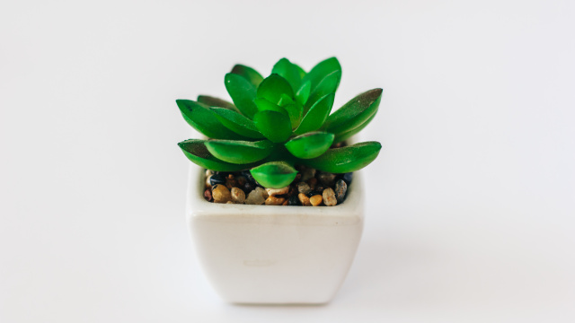 Umělé květiny v obalu