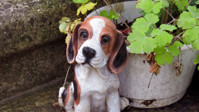 Venkovní zvířátka