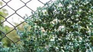 Zastínění a rohože