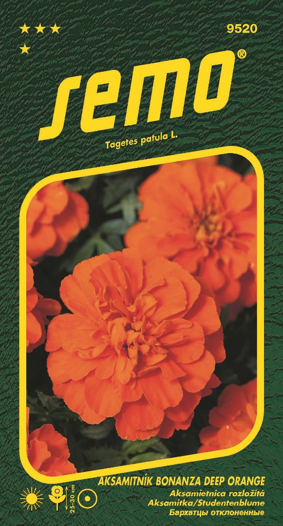 Osivo letniček - Aksamitník rozkladitý Bonanza Deep