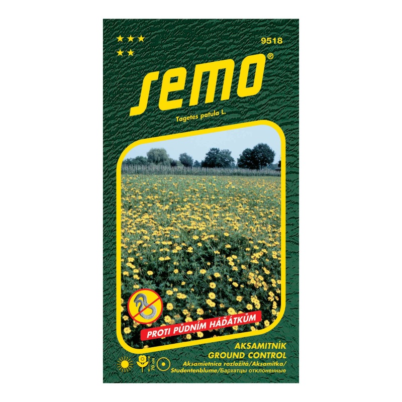 Aksamitník rozkladitý Ground Control-0