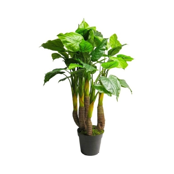 Umělé květiny v obalu - Anthurium AVANTI hrnkové umělé zelené 120cm