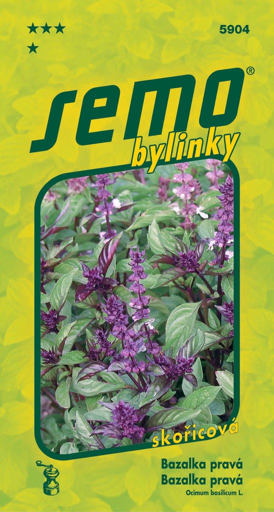 Osivo bylinek - Bazalka pravá Cinamonette
