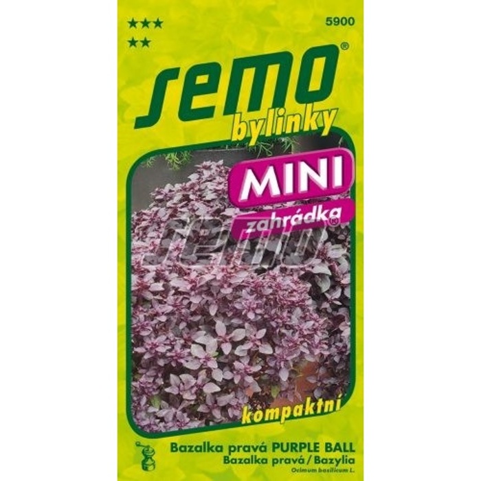 Osivo bylinek - Bazalka pravá Purple Ball MINI