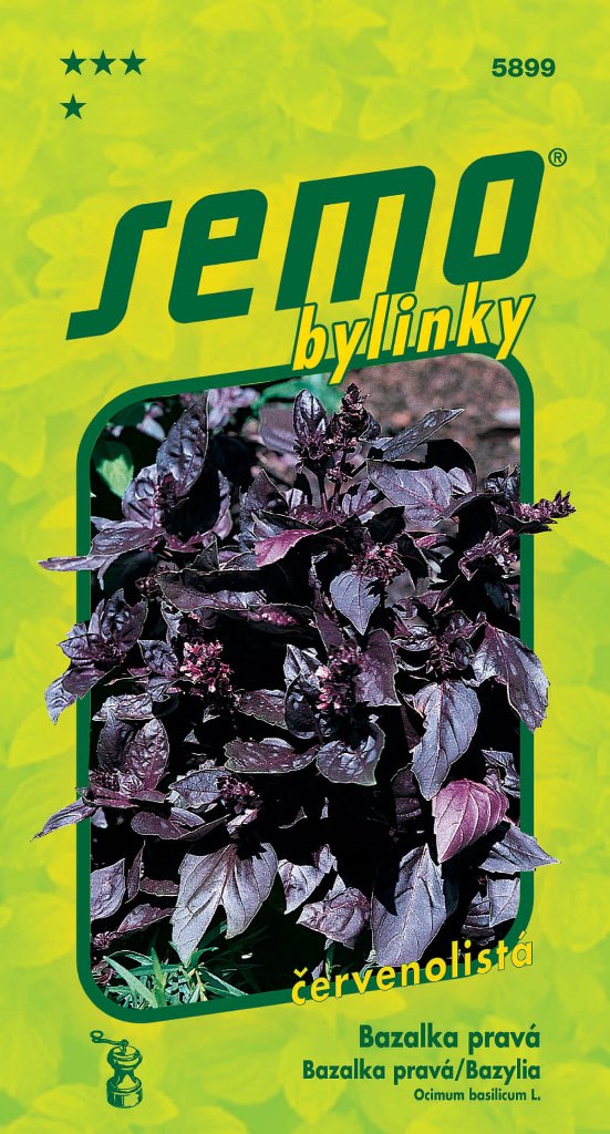 Osivo bylinek - Bazalka pravá Red Rubin