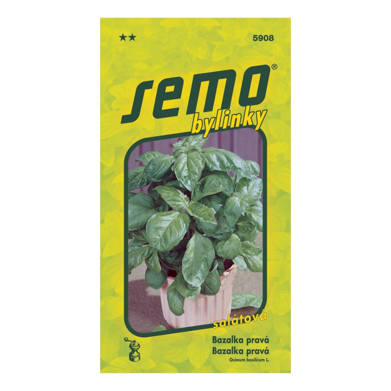 Bazalka pravá salátová Lettuce Leaf-0