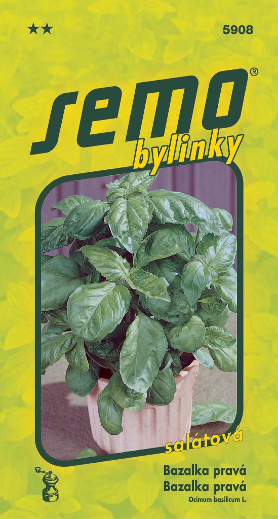 Osivo bylinek - Bazalka pravá salátová Lettuce Leaf