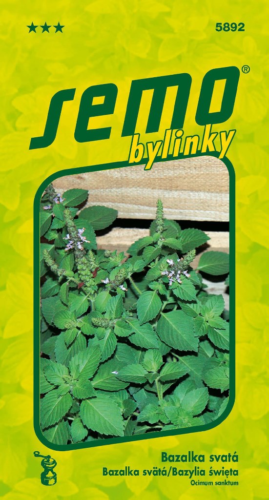 Osivo bylinek - Bazalka svatá Thulsi
