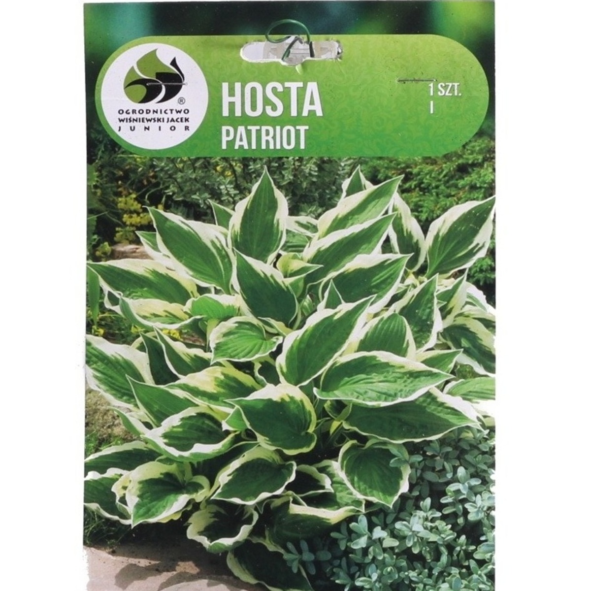 Bohyšky - Bohyška Patriot 1ks