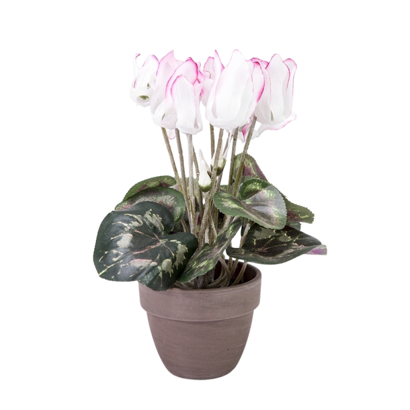 Umělé květiny v obalu - Brambořík hrnkový umělý bílý