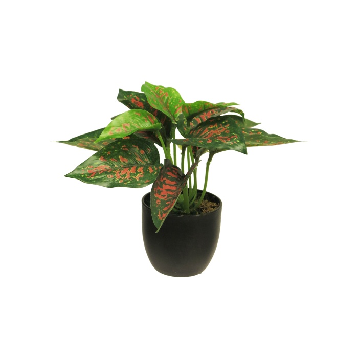 Umělé květiny v obalu - Caladium SUNSHINE hrnkové umělé 23cm