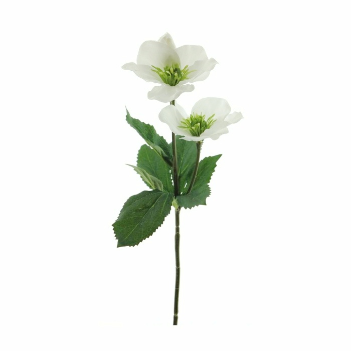 Jarní umělé květiny - Čemeřice řezaná umělá se 2 květy krémová 34cm