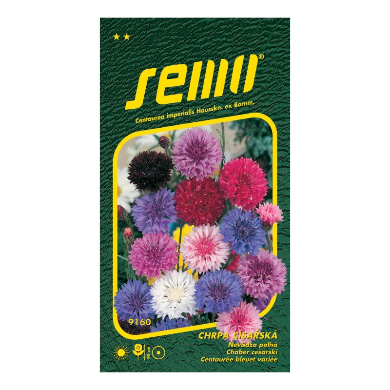 Chrpa císařská směs-0