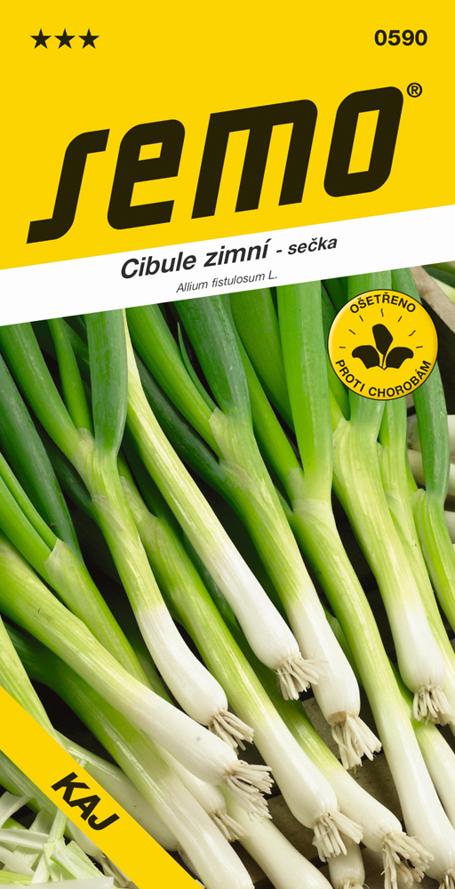 Osivo zeleniny - Cibule sečka Kaj zimní