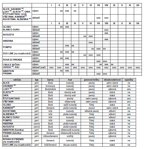 Cibule sečka Kaj zimní-0