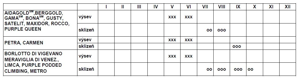 Fazol keříčkový směs barev PALETA-0