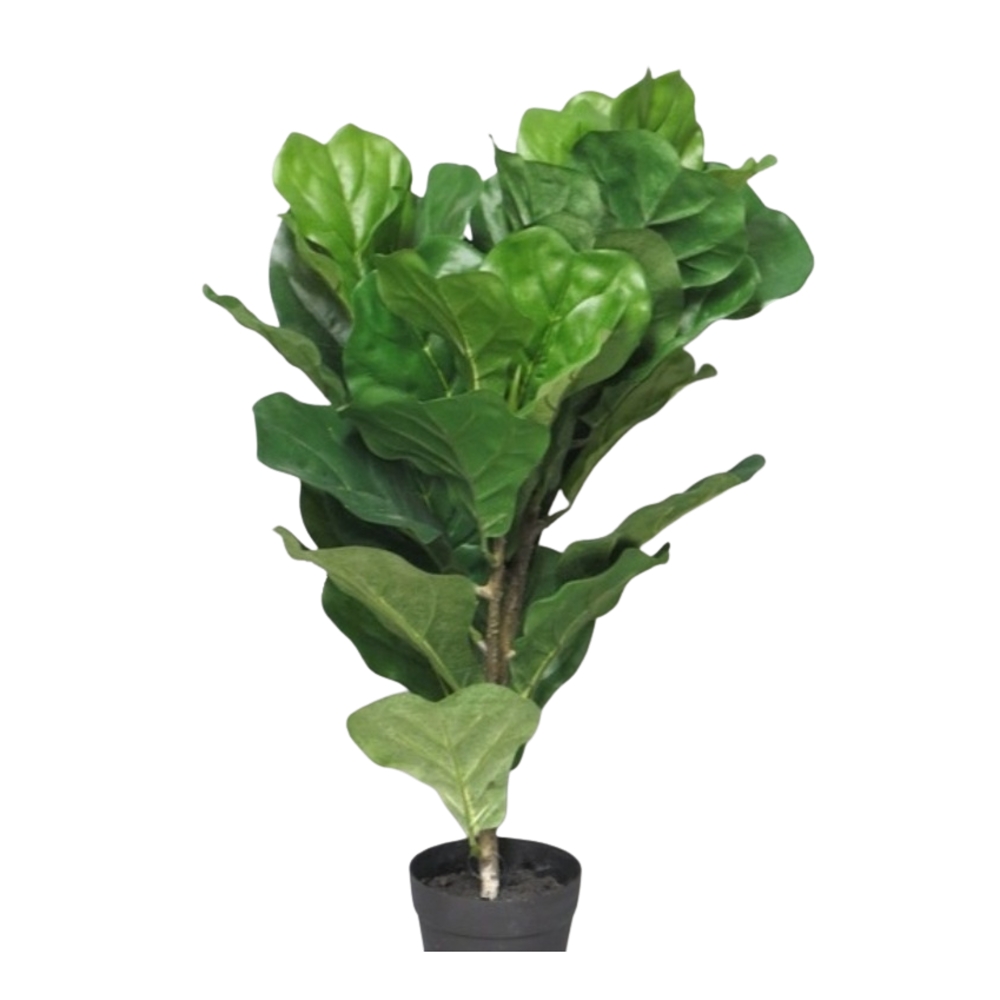 Umělé květiny v obalu - Ficus lyrata hrnkový umělý 60cm