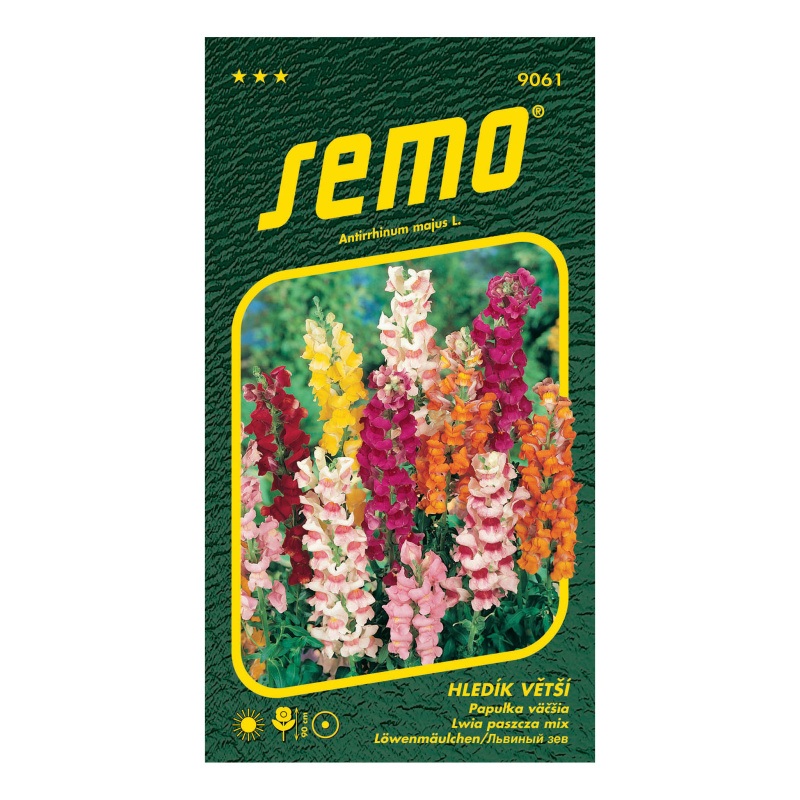 Hledík větší Maximum-0