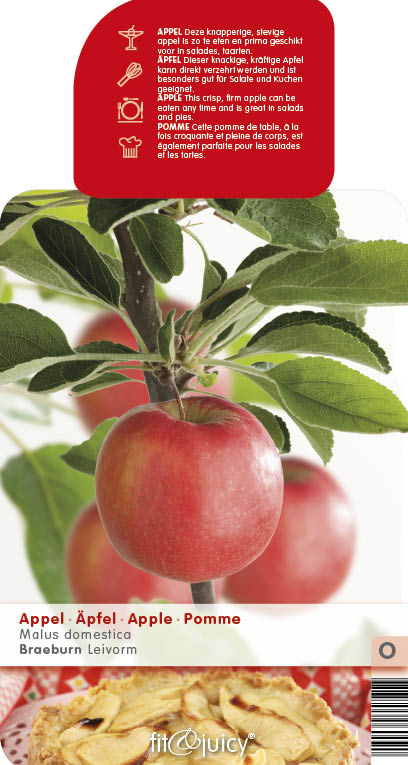 Rostliny - Jabloň 'Braeburn' květináč 6 litrů, výška 150/175cm, zimní, CIZOSPRAŠNÁ