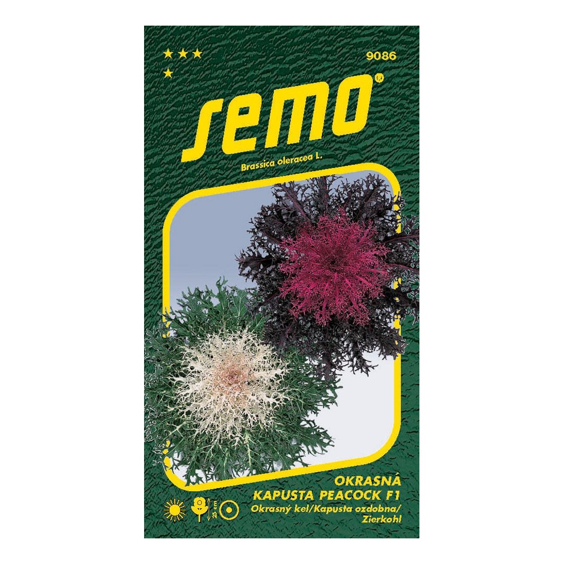 Osivo letniček - Kapusta okrasná Peacock mix