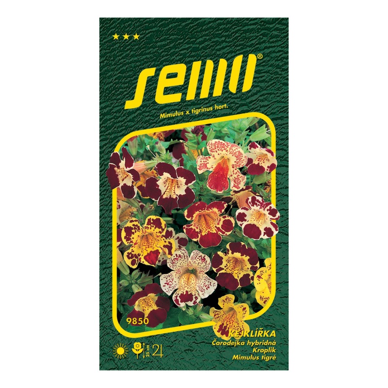 Kejklířka velkokvětá-0