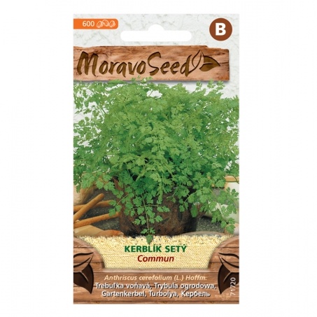 Osivo bylinek - Kerblík (MS)