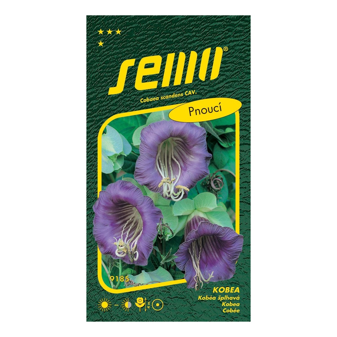 Osivo letniček - Kobea Blue Bell