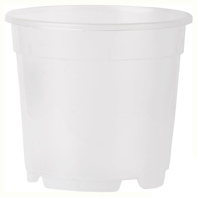 Předpěstování - Kontejner orchidej plast 13cm