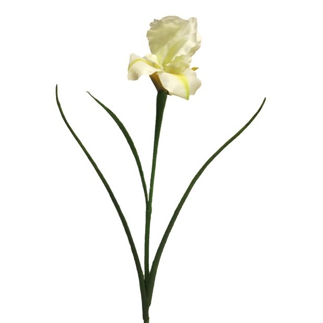 Jarní umělé květiny - Kosatec řezaný umělý 60cm krémový