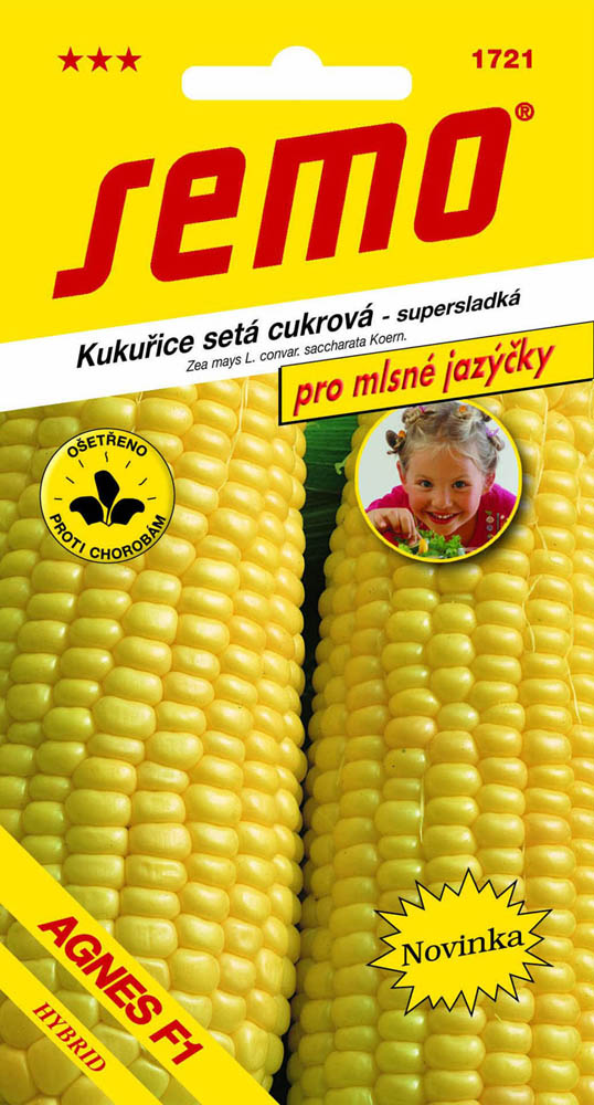 Osivo zeleniny - Kukuřice cukrová Agnes (Longa) F1 JAZÝČKY