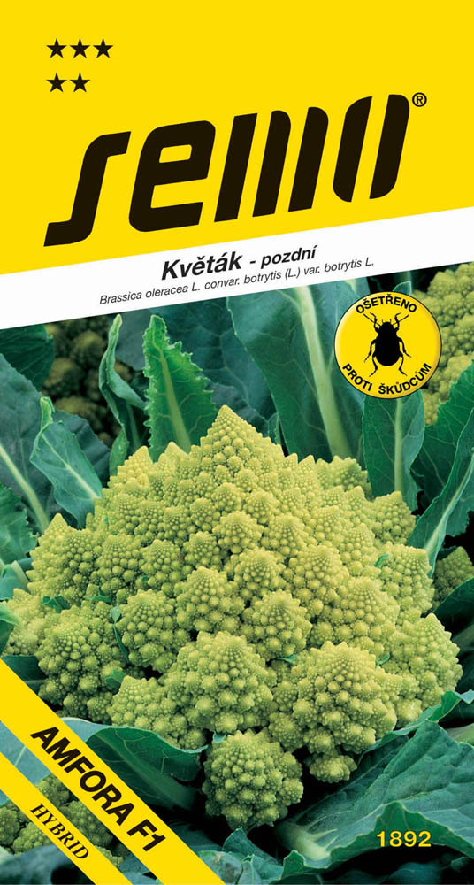 Osivo zeleniny - Květák letní Amfora F1