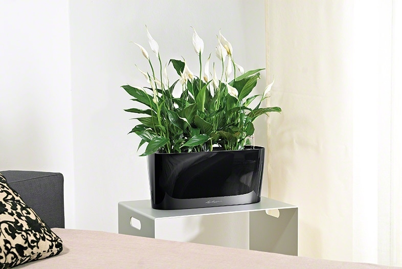 Květináč DELTA OVAL komplet set 40cm antracit-1