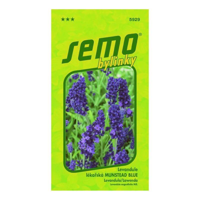 Levandule lékařská Munstead blue 0,4g-0