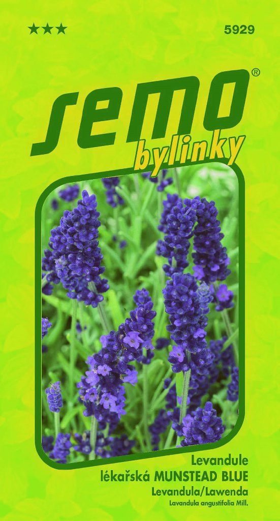 Osivo bylinek - Levandule lékařská Munstead blue 0,4g