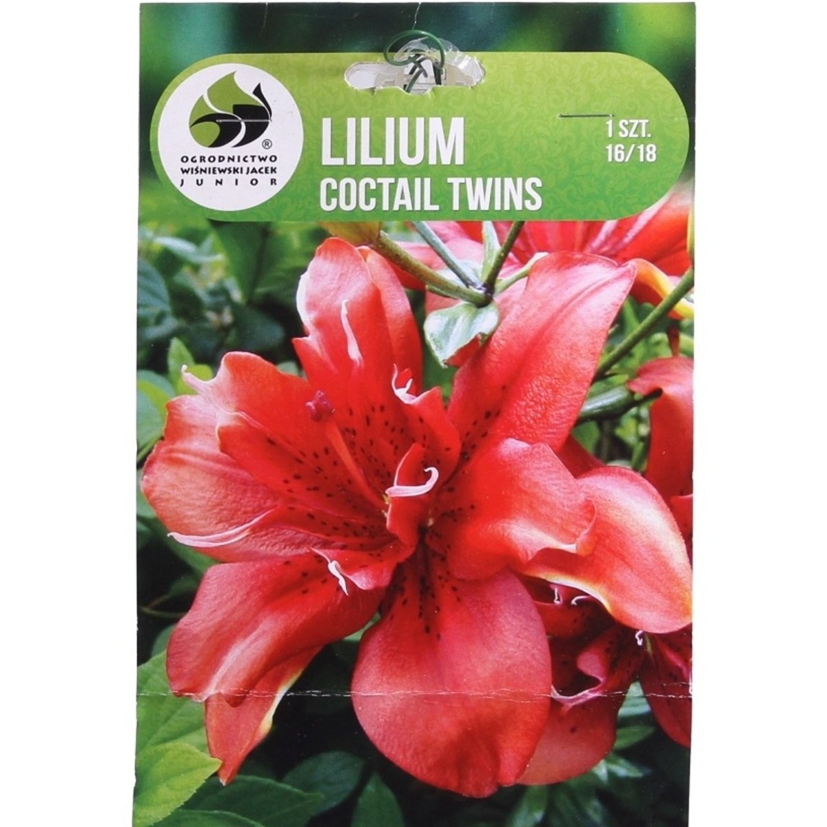 Lilie - Lilie Coctail Twins 1ks