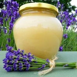 Sladké pochoutky - Med květový pastovaný 750g