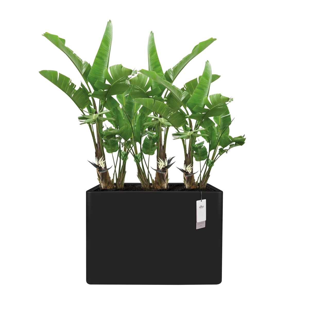 Obal ELHO June Brick Divider černý 59x79x29cm-0