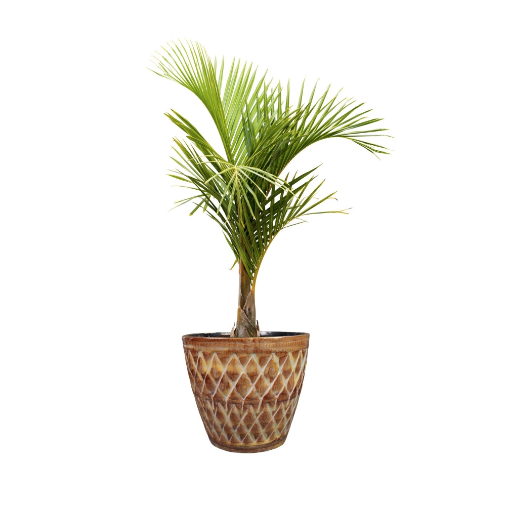 Obal kulatý CAISA kovový terakotový 25cm-0