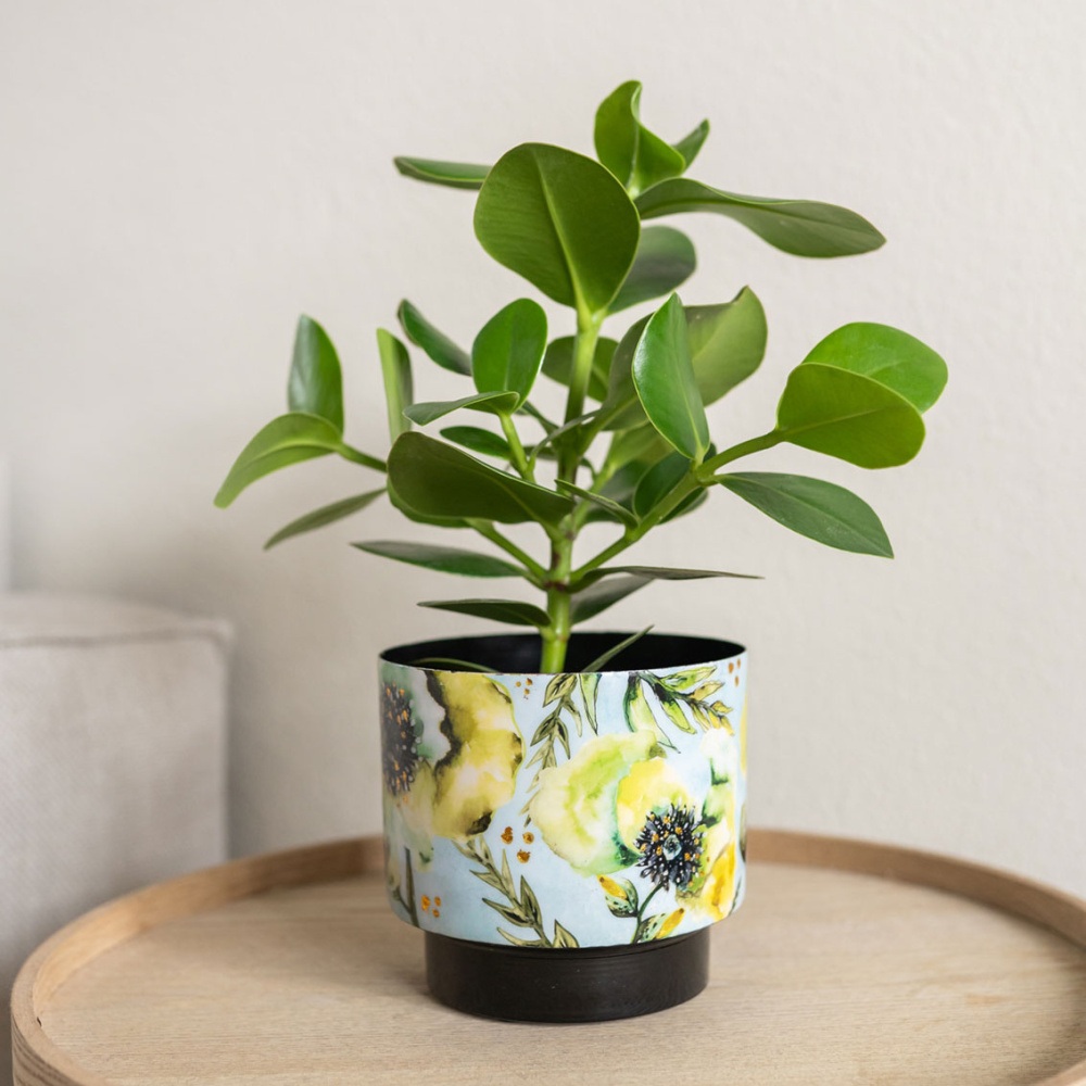 Obal kulatý kovový CAMELIA sv.modrý 20cm-1