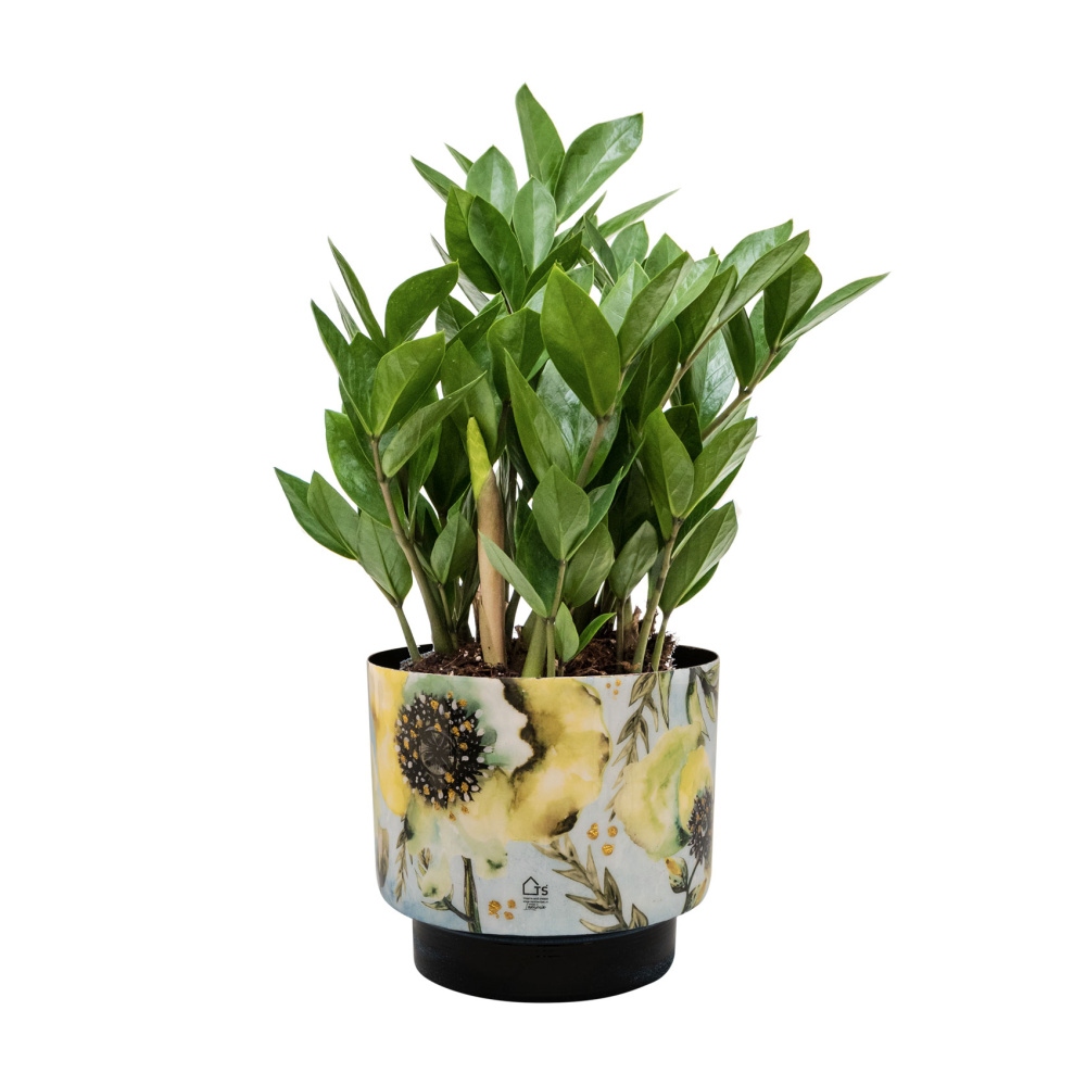 Obal kulatý kovový CAMELIA sv.modrý 22cm-0