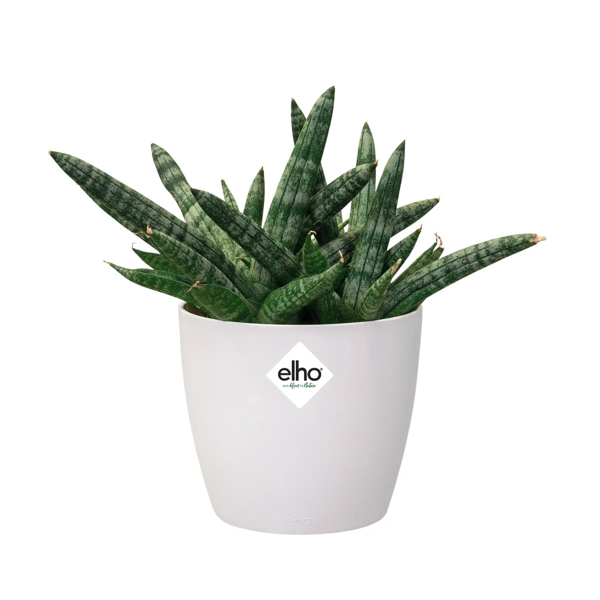 Obal na květináč Elho Brussels Classic bílý 10,5cm-0
